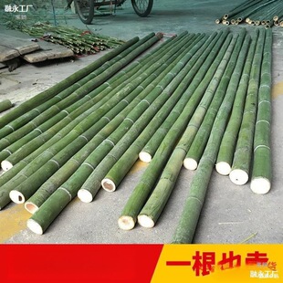 ��b���b�޴ּ�������������U�G��͸����҃ȑ�����Ͳ������