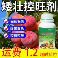 ������҄��������һ�ѿ�����ɫ��÷�����O�����Ҙ��~��ʴٿ؄�