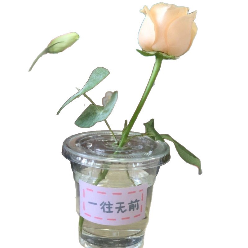 Taza de flores de paquete único Día del Maestro Festival Qixi bolsa de flores transparente portátil hecha a mano conjunto completo de bolsas de regalo de mercado nocturno