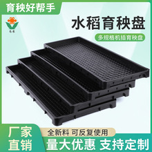 厂家直供加厚9寸机插硬盘秧盘/水稻育秧盘育苗盘/插秧机秧盘