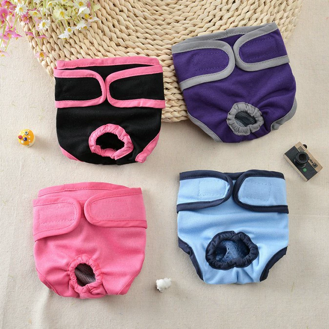 Одежда для домашних животных, одежда для собак на липучке, одежда для маленьких, средних и больших собак, Тедди, золотистый ретривер, прогулочные физиологические штаны для защиты от беспокойства