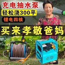 小型充电式抽水泵浇水神器农用浇地抽水机灌溉浇菜家用田园浇水机