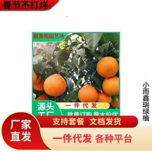 ɰ�����Ә���޽ӽ��������Ե��Ը��ٟo�����٘��箔��Y��������