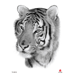 Flower arm tattoo sticker manufacturer wholesale waterproof tiger lion leopard bird tattoo sticker cross-border supply