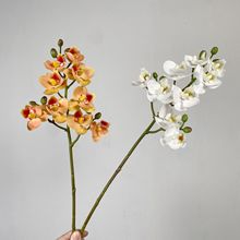 仿真花2叉蝴蝶兰7头手感胶片 高级布置家居装饰插花婚庆布景兰花