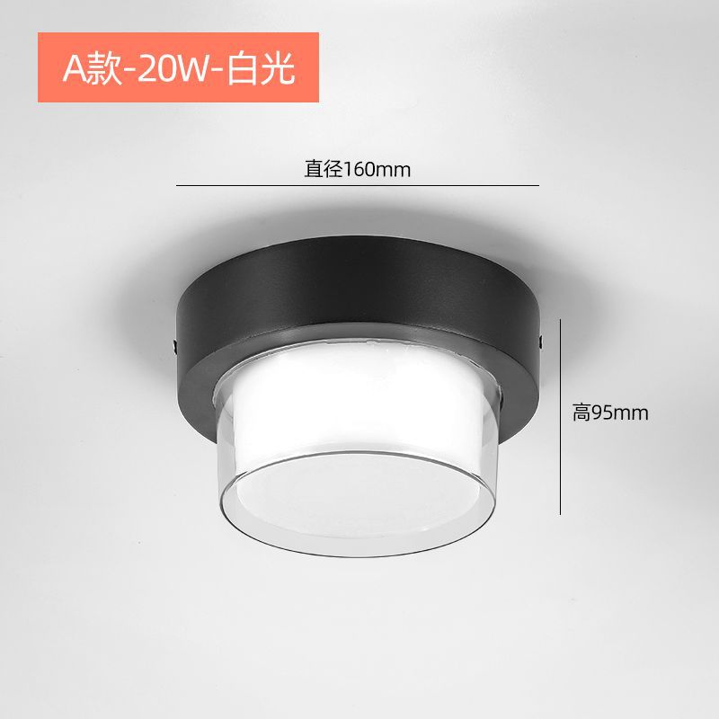 Type a round 20w white light