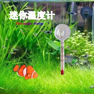Aquarium fish tank thermometer ornamental fish thermometer LED patch pointer hook tropical fish turtle tank water thermometer