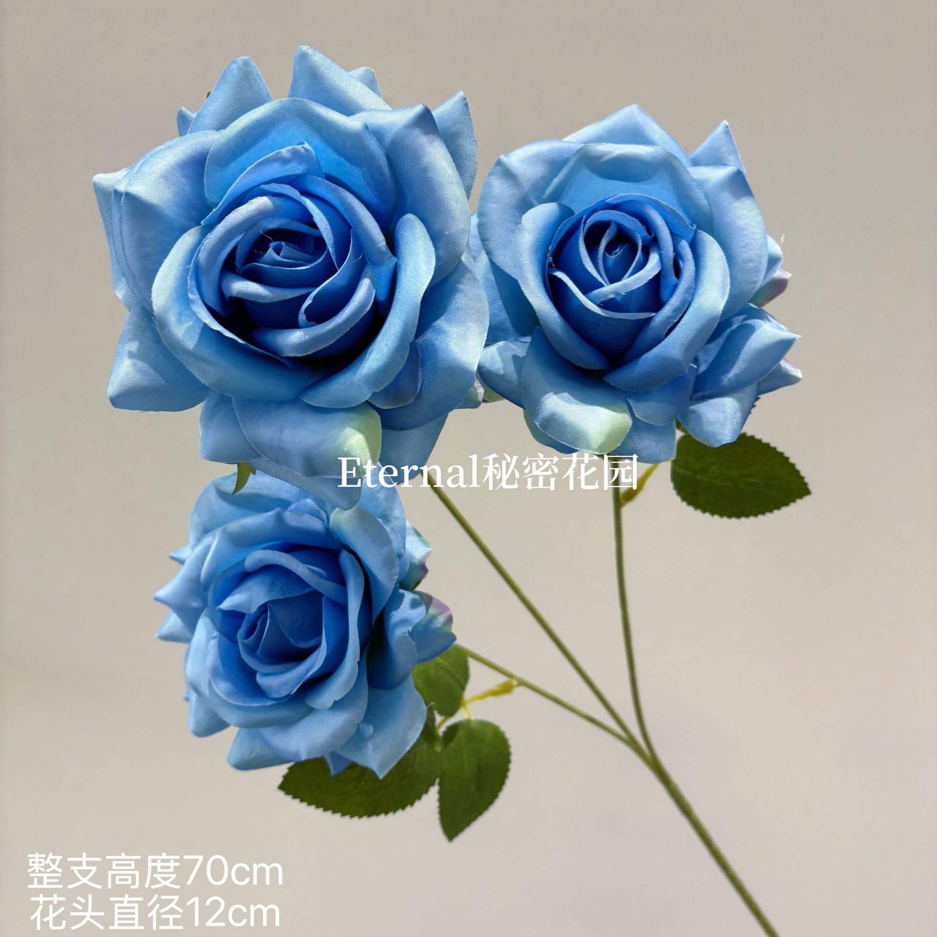 설산 장미