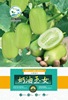 Wholesale fruit cucumber seeds planting four seasons of sowing quality is good varieties of excellent rapeseed vegetable seeds