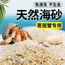 免洗海沙寄居蟹专用沙水草螃蟹底沙石乌龟铺底纯天然流沙鱼缸底砂
