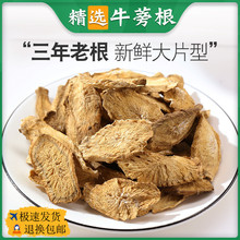 牛旁根500g中药材牛蒡根干正品非特级野生散装 牛蒡根茶 牛榜根片