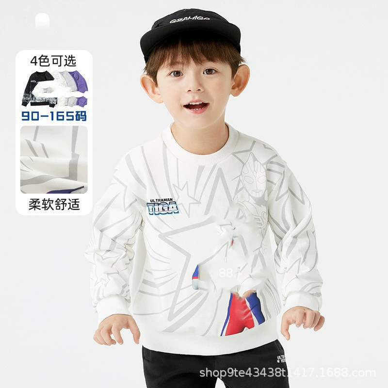 Осенняя одежда: свитшот для мальчиков