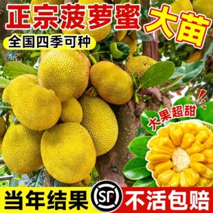 ���}�ۘ����޽ӹ��������ɏ��ľ���}�ۮ���Y�������ļ�ˮ����