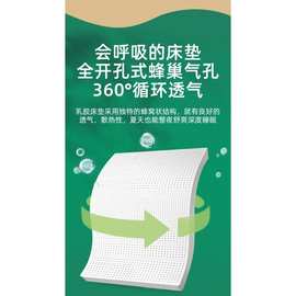 泰国进口纯天然乳胶床垫一体成型95D家用单人学生宿舍橡胶床垫5cm