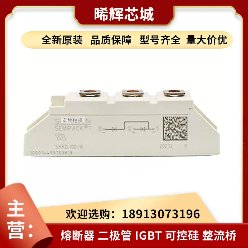 SKKD100/16 SKKD100/08 快恢复二极管 可控硅 全新原装 型号齐全