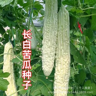 �L�׿�ϷN�Ӱ׿�ϷN�Ӷ������ԭ�b�߲˷N�Ӵ�ȫ�˷N�����l���l