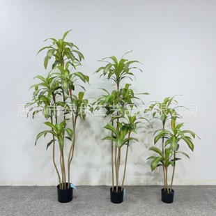 ��������F�t�F�����Ա��W�L��٘����~�b�չ�d�ٻ�ˇ