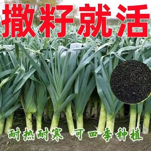 �ļ����~����N��һ���ļ������B�m���հ�Ƥ�������r���ͺ��߲���
