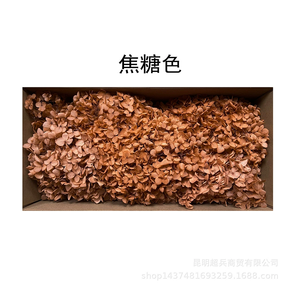 [Вечная Life Flower Hydrangea] Анна Градиентный цвет Лист Hydramid Книга цветов оптом DIY цветочная коробка материал для просмотра