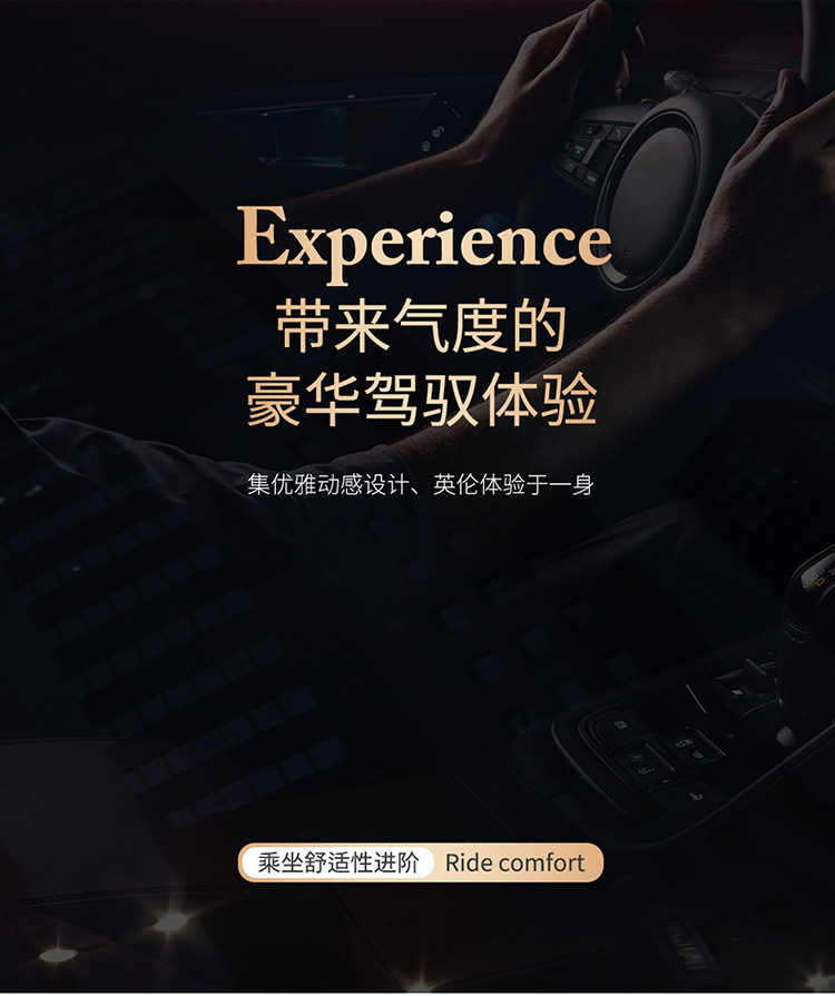 25 Years of Cross-Border New Four-Season Universal Comfortable Linen Breathable and Wear-Resistant Five-Seater Universal Car Interior Cushion Cover
