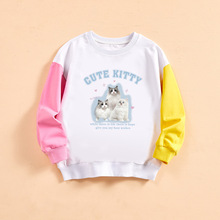 新款可爱猫咪印花儿童卫衣撞色拼接袖圆领上衣女童休闲宽松套头衫