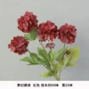 Fantastic hydrangea