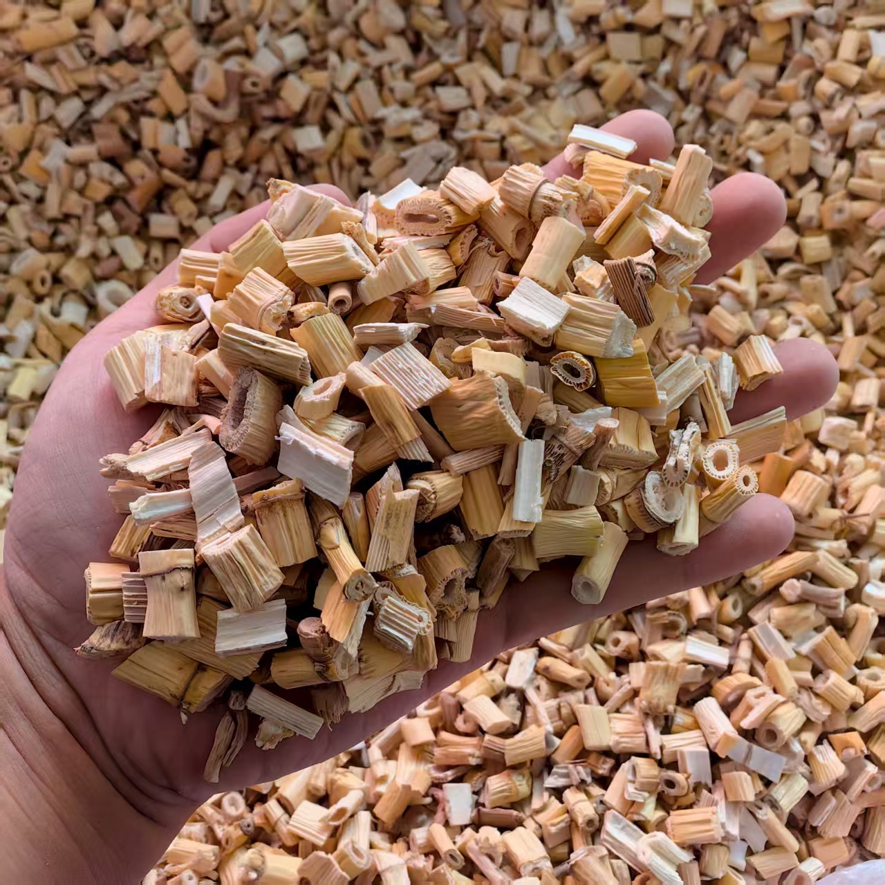 Dried Reed Rhizome Lu Gen 500g Natural Sun Dried Reed Root Segments for Herbal Decoction and Tea quality and texture