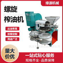 中小型花生榨油大型压榨设备 多功能新型大豆茶油螺旋榨油机 绿源