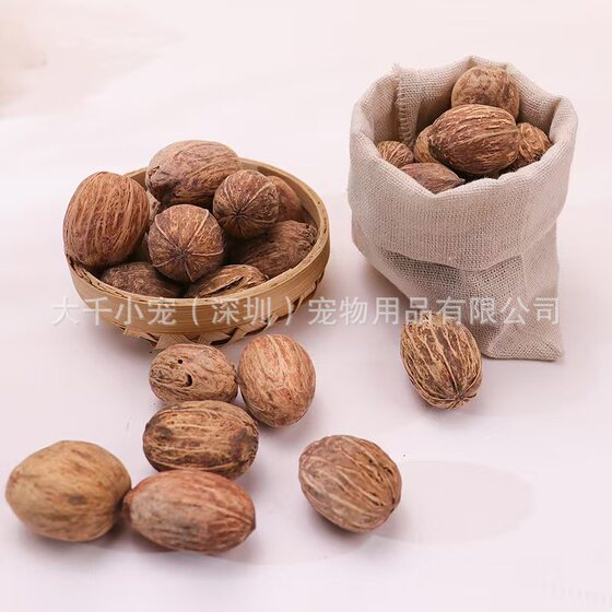 perforated wood mango bird toy accessories material fruit plant dried fruit decoration natural dried flower decoration photography batch