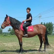 �ɹ��R�����R�^�pӰҕ���R���^���U�Rƥ�����R�N���Ј�����