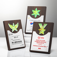 新款创意炫彩木质授权牌公司年会销售冠军颁奖奖牌纪念