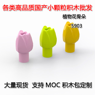 ��50G��ӆ���羳MOC���aС�w���eľ���ݘ���5903ֲ�ﻨ�Ƕ� ����