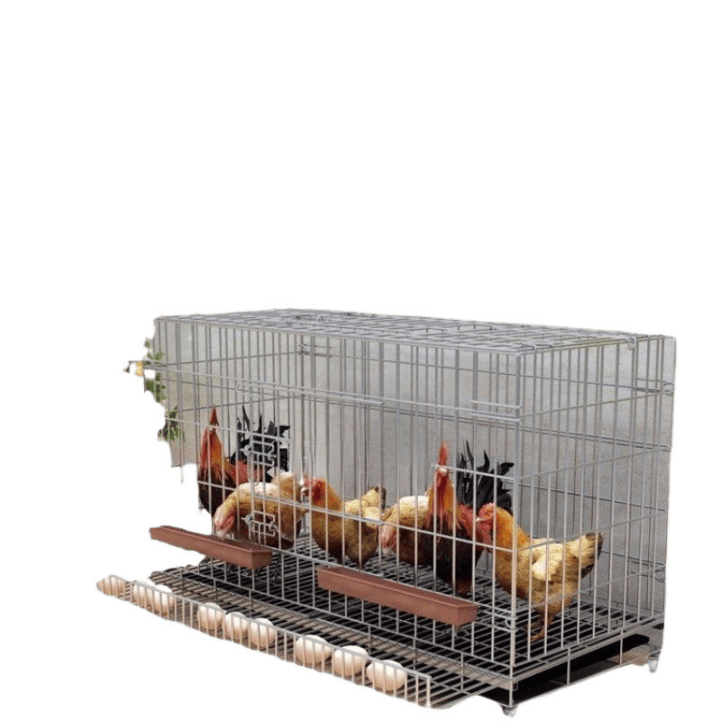 鶏小屋家庭用鶏小屋大型自動糞尿掃除折りたたみ飼育ケージ鶏小屋金網アヒルとガチョウのケージ|undefined