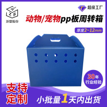 �羳�{ɫ�пհ��������D��h�������ۯBpp�D�\�������пհ���