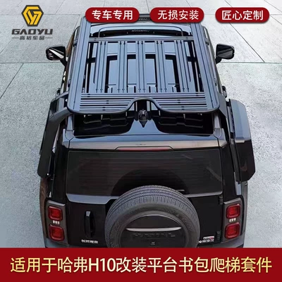 Other Car Modifications – folding ladder