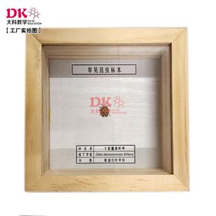 ��ƽ̌W ���x�˱� й����������Ӿ�����С����15*15*5cm�߽�