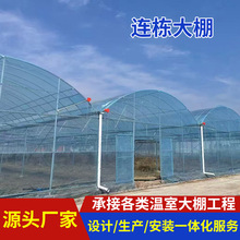 �B����Ĥ���Ҵ��� �߲˻��ܹϹ��Nֲ���� �r�I�����B�������OӋ