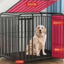 狗笼子大型犬室外 加固金毛拉布拉多狗笼中型犬宠物 狗笼子加粗