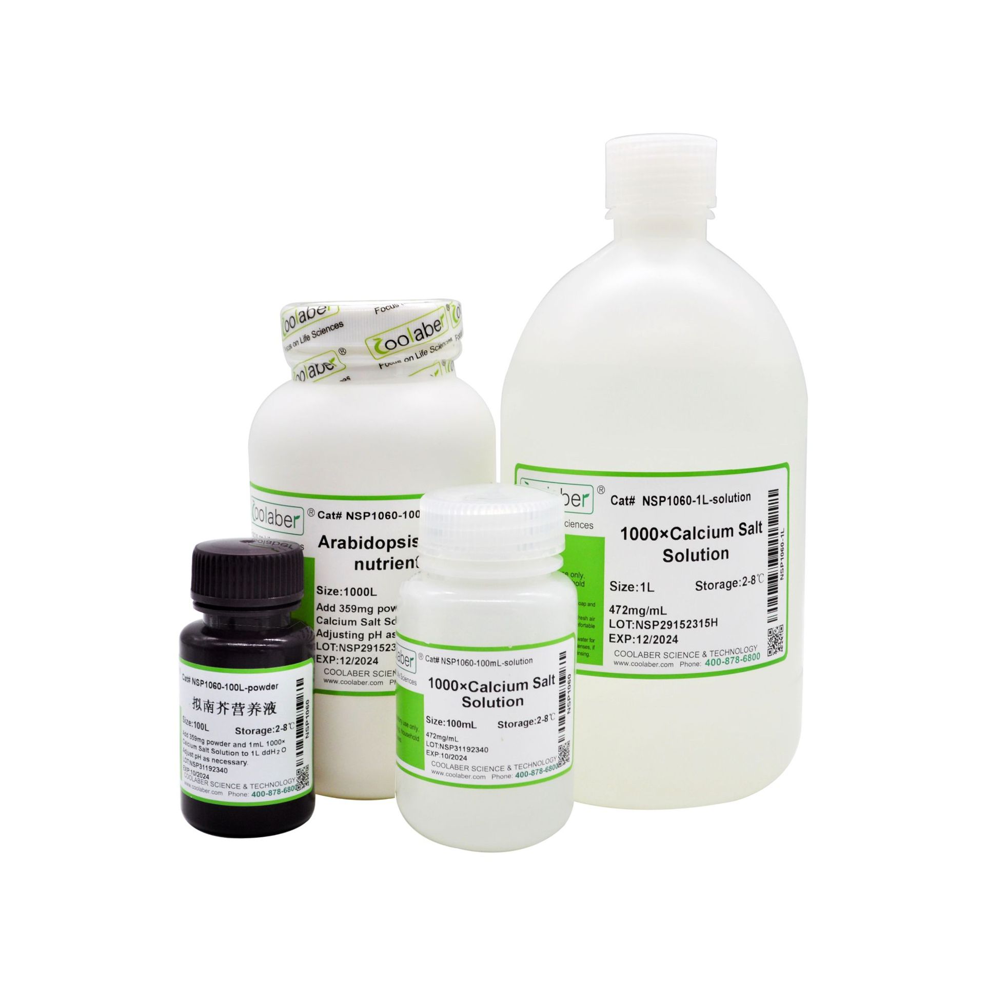 拟南芥营养液（干粉+浓缩液）