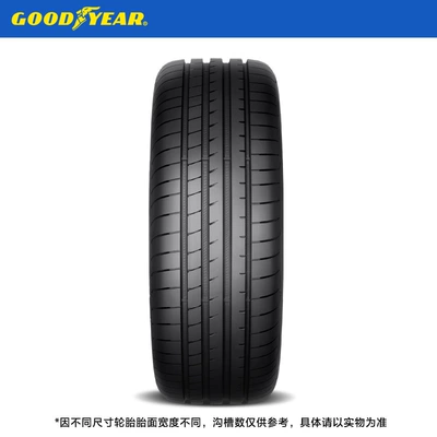 Vehicle tire / Eagle