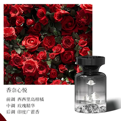 Car Perfume Aromatherapy Fragrance for Use in the Car - sxuyue-chanel-xinyue-110ml