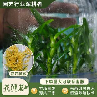 ��ʯ��3090�S��ʯ��ƿ���׳ɻ�M��С���҃������Ի�������r��