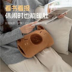 充电热水袋卡皮巴拉可拆卸暖手袋国标内胆暖被窝双插手家用暖宝宝