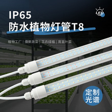 T8ֲ�����L����ˮ�����������M��������ˮ���߲ˑ���NֲIP65