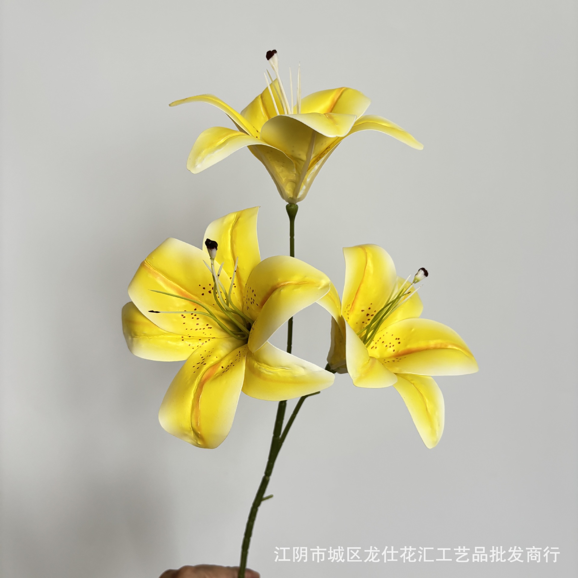 행복한 백합