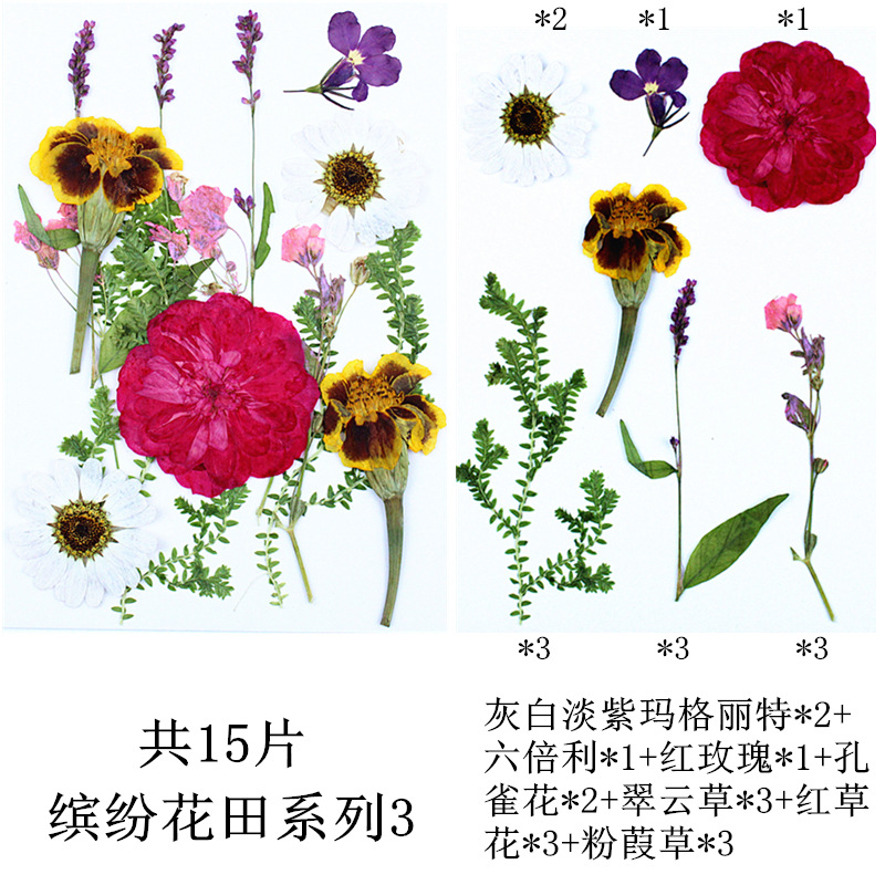 다채로운 꽃 밭 조합 3