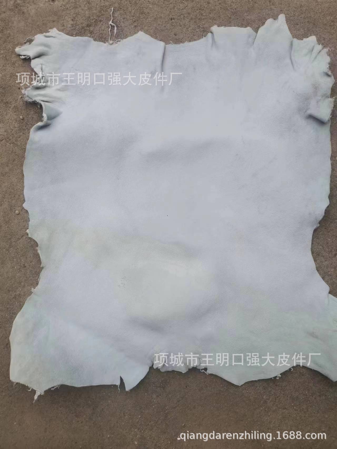 微信图片_20230807135532