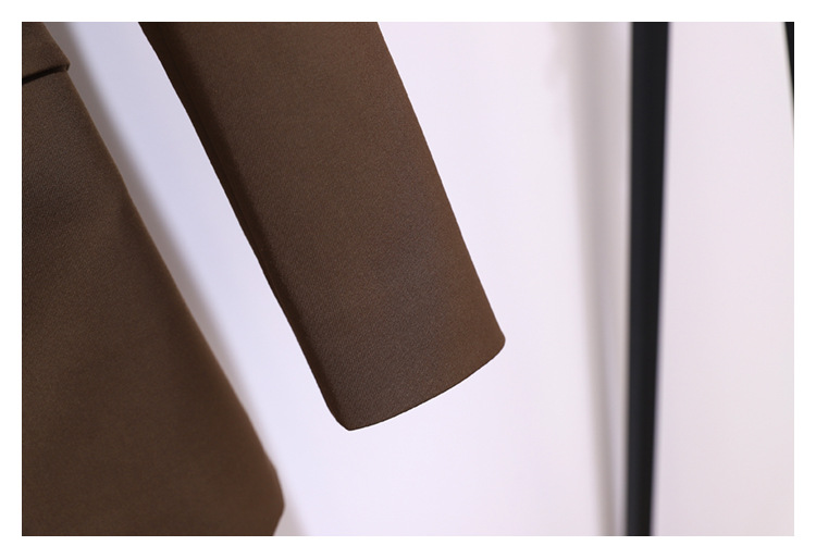 Coupe-vent pour femme, nouveau haut de style coréen, petite veste chic de couleur café, costume haut de gamme pour femme, printemps et automne_voghion.com