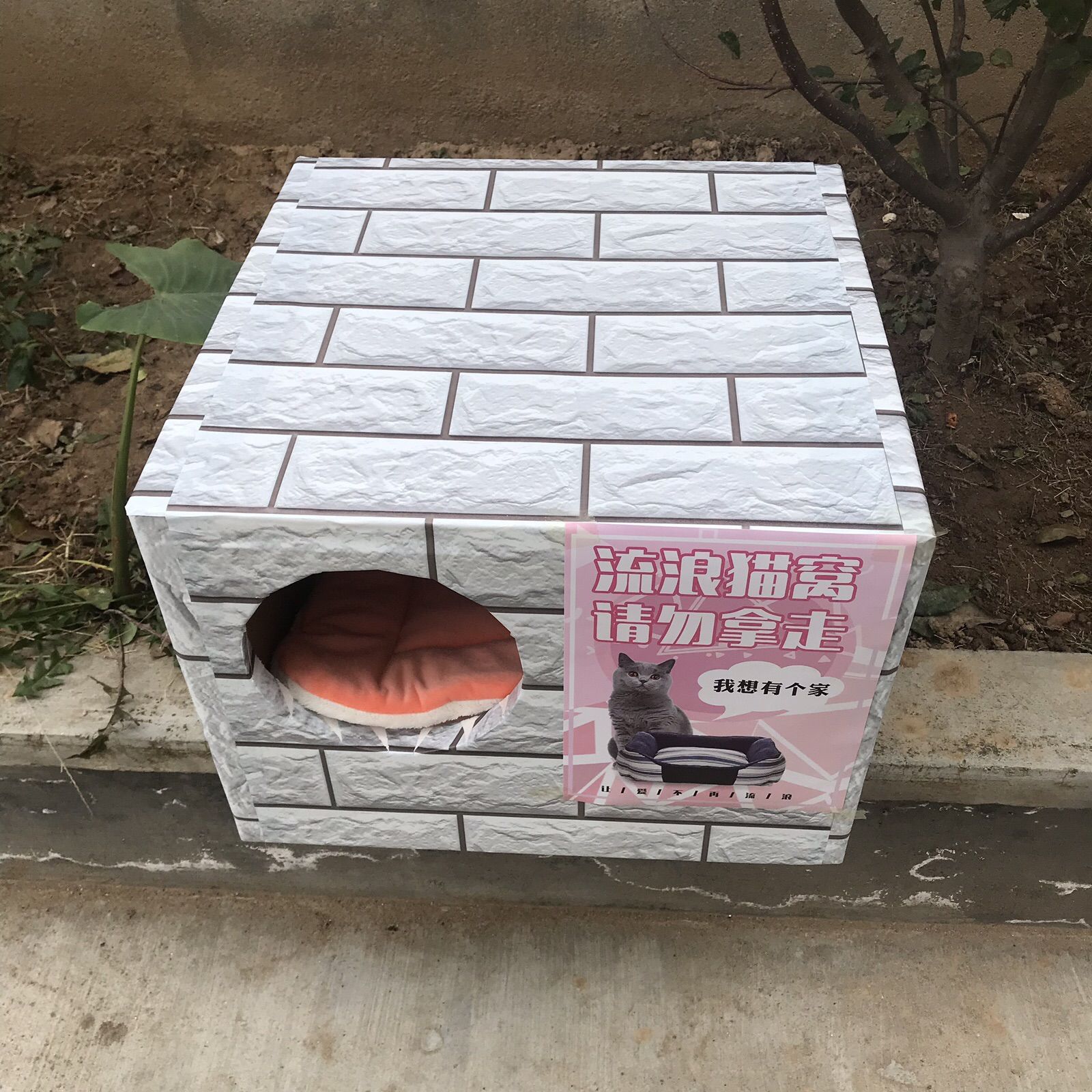 두꺼운 고양이 패드가 있는 블루 타일 스톤 둥근 구멍