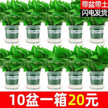 lG}҃ȺBȩ՚ˮֲGֲԾGj